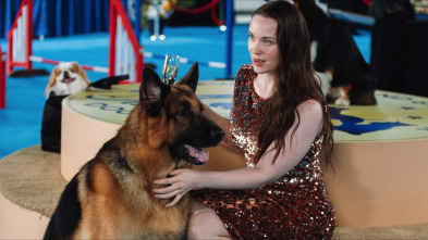 Imagen de Hudson y Rex (T3): Ep.9 Asuntos enterrados - 5