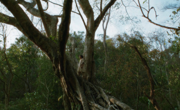 Imagen de Eureka - 14