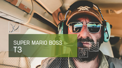 Imagen de Súper Mario Boss (T3) - 4