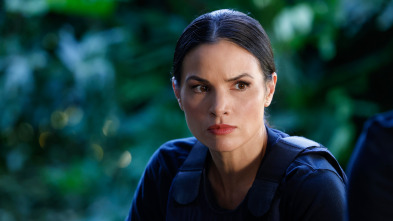 Imagen de Navy:... (T23): Ep.2 Hijo Pródigo (2ª parte) - 5