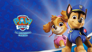 Imagen de La patrulla canina (T12): La patrulla salva a una estrella del pop / La patrulla salva el domo para meditar - 2