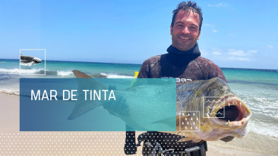 Imagen de Mar de tinta - 2