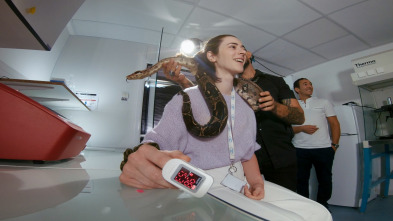 Imagen de Los trucos del cerebro: Mi cerebro y los otros - 2