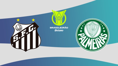 Imagen de Jornada 13: Santos - Palmeiras - 2