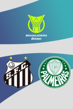 Imagen de Jornada 13: Santos - Palmeiras - 1