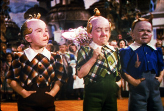 Imagen de El Mago de Oz - 5