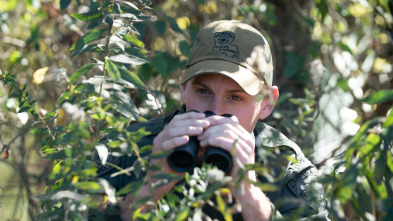 Imagen de Louisiana Law: Cazar al cazador - 2