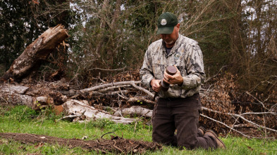 Imagen de Louisiana Law: Juego sucio - 2