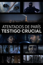 Imagen de Atentados de París: testigo crucial  - 1