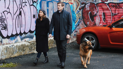 Imagen de Hudson y Rex (T3): Ep.11 Siguiendo el rastro de sangre - 1