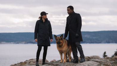 Imagen de Hudson & Rex (T3): Ep.12 Perro jefe - 1