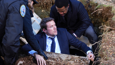 Imagen de Hudson & Rex (T3): Ep.12 Perro jefe - 4