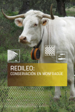 Imagen de Redileo: Conservación en Monfragüe - 1
