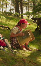 Imagen de Campamento Garra de Oso - 7