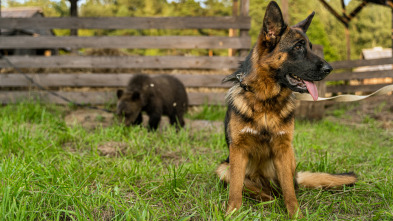 Imagen de Una amistad para siempre: la aventura - 3