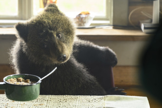 Imagen de Una amistad para siempre: la aventura - 4