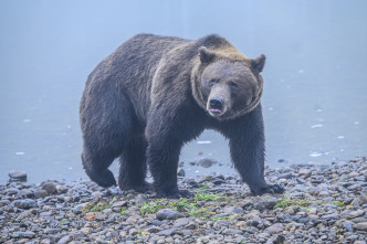 Imagen de Una amistad para siempre: la aventura - 6