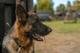 Imagen de Una amistad para siempre: la aventura - 9