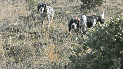 Imagen de La caza con Karla (T2) - 3