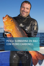 Imagen de Pesca submarina en Bali con Pedro Carbonell - 1