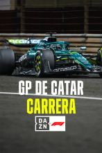 Imagen de Mundial F1 - GP... (2025): Carrera - 1