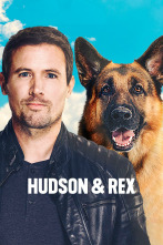 Imagen de Hudson & Rex (T4) - 1