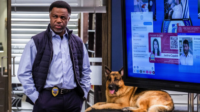 Imagen de Hudson y Rex (T4): Ep.4 Líder de la manada - 1