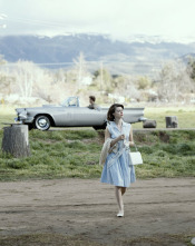 Imagen de Indomables - 13