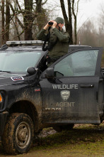 Imagen de Louisiana Law: Lluvia de balas - 1