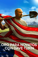 Imagen de Oro para novatos con Dave Turin (T1) - 1