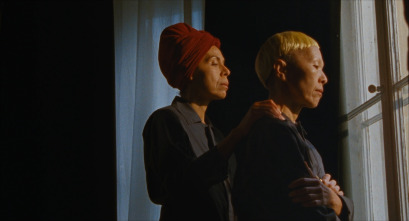 Imagen de Erogénesis - 6