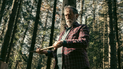 Imagen de Donde se quejan los pinos - 4