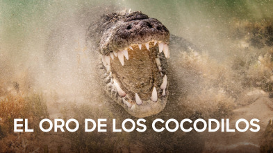 Imagen de El oro de los cocodrilos  - 2