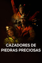 Imagen de Cazadores de piedras preciosas  - 1