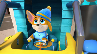 Imagen de ¡Cachorros a la... (T2): Una construcción muy interesante - 1