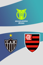 Imagen de Jornada 36: Atlético Mineiro - Flamengo - 1