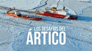 Imagen de Los desafíos del Ártico  - 2