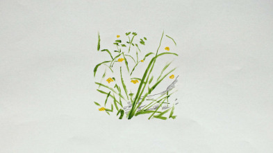 Imagen de Maleza - 5