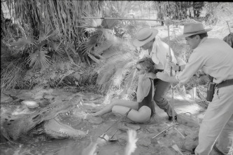 Imagen de La leyenda de Cocodrilo Dundee - 14