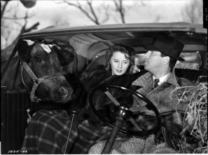 Imagen de Recuerdo de una noche - 5