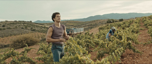 Imagen de Cariñena, vino del mar - 7