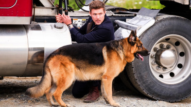 Imagen de Hudson y Rex (T4): Ep.6 El puente del muerto - 1