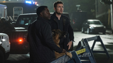 Imagen de Hudson y Rex (T4): Ep.9 El síndrome del perro impostor - 1