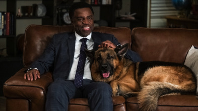 Imagen de Hudson y Rex (T4): Ep.13 Las rosas de Signal Hill - 1