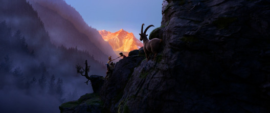 Imagen de Heidi: el rescate del lince - 12