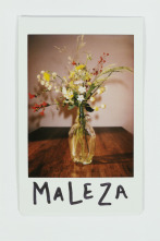 Imagen de Maleza - 1