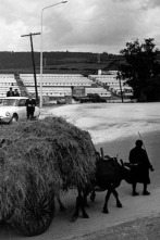 Imagen de Los años del NO-DO (T1): Ep.3  - 1