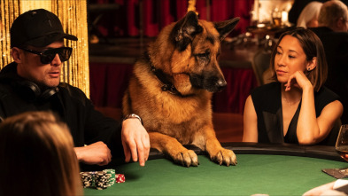 Imagen de Hudson y Rex (T4): Ep.15 Pesadilla en Water Street - 1