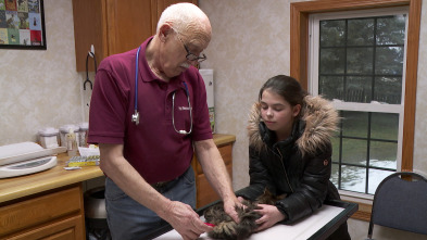 Imagen de El increíble doctor Pol: La maravillosa Miss Maisey - 2