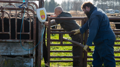 Imagen de El increíble doctor Pol: Caniches y compañía - 1